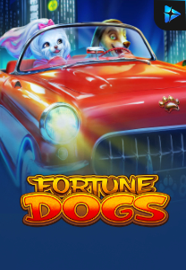 Bocoran RTP Fortune Dogs di BENTO188 Generator RTP SLOT GACOR 4D Live Dengan Pola Akurat Dan Lengkap