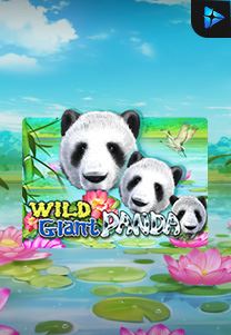 Bocoran RTP Wild Giant Panda di BENTO188 Generator RTP SLOT GACOR 4D Live Dengan Pola Akurat Dan Lengkap