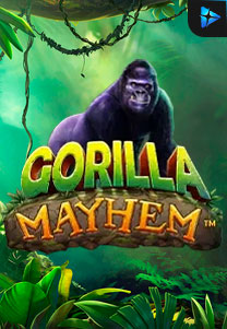 Bocoran RTP Gorilla Mayhem di BENTO188 Generator RTP SLOT GACOR 4D Live Dengan Pola Akurat Dan Lengkap